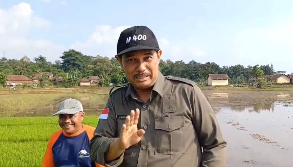 Kementan Gencarkan Gerakkan Tanam Mei di Grobogan untuk Percepatan Panen dan Antisipasi Penyerangan OPT