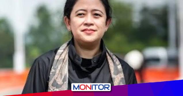 Kasus Mpox Meningkat, Puan Minta Pemerintah Siapkan Proteksi Maksimal Bagi&nbsp;Masyarakat